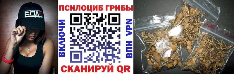 Псилоцибиновые грибы MAGIC MUSHROOMS  купить наркотики сайты  Холм 